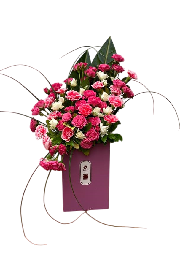 گل برای افتتاحیه سالن زیبایی Bloomia
